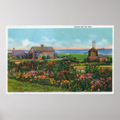 Kaap Cod, MassachusettsView of Homes van de Poster (Voorkant)