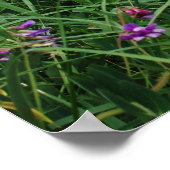 Kaap Kabelhuis Poster (Hoek)