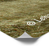 Kaap Kabeljauw Poster (Hoek)