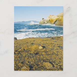 Kaap Kiwanda en de Stille Oceaan Briefkaart