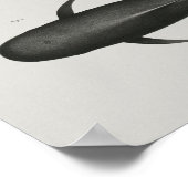 Kaap Pilot Whale  Print Marine Biology (Hoek)