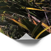 Kaap Reinga Poster (Hoek)