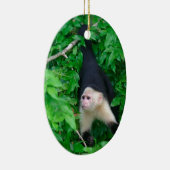 Kaapjesaap Keramisch Ornament (Rechts)