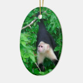 Kaapjesaap Keramisch Ornament (Links)