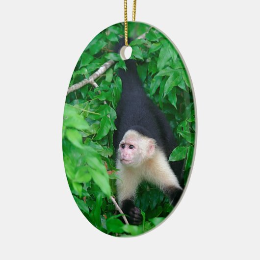 Kaapjesaap Keramisch Ornament (Links)