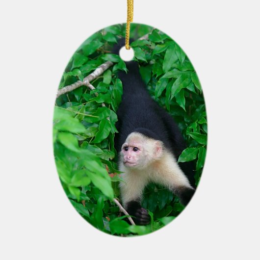 Kaapjesaap Keramisch Ornament (Voorkant)