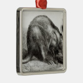 Kaapse Ant-Eater Metalen Ornament (Rechts)
