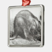 Kaapse Ant-Eater Metalen Ornament (Links)
