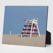 Kaapse beschermstoel fotoplaat (Zijkant)