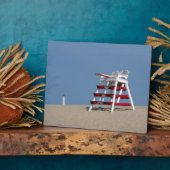 Kaapse beschermstoel fotoplaat (Zijkant)