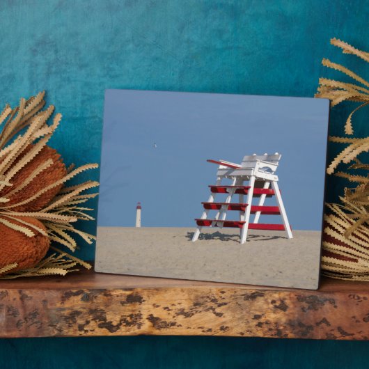 Kaapse beschermstoel fotoplaat (Zijkant)