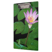 Kaapse Blauwe Waterlelie (Nymphaea Capensis) Klembord (Links)