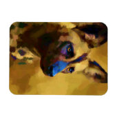 kaapse jachthond magneet (Horizontaal)