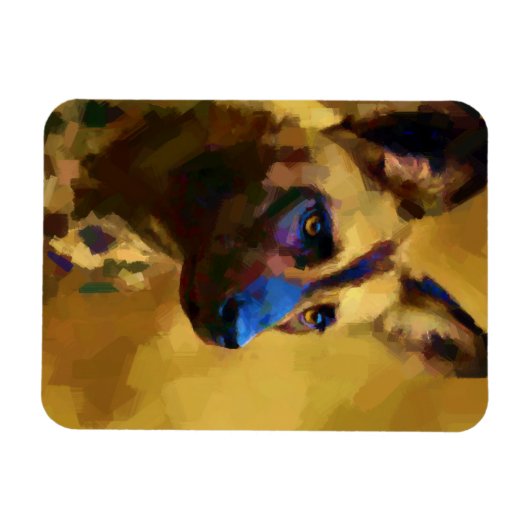 kaapse jachthond magneet (Horizontaal)