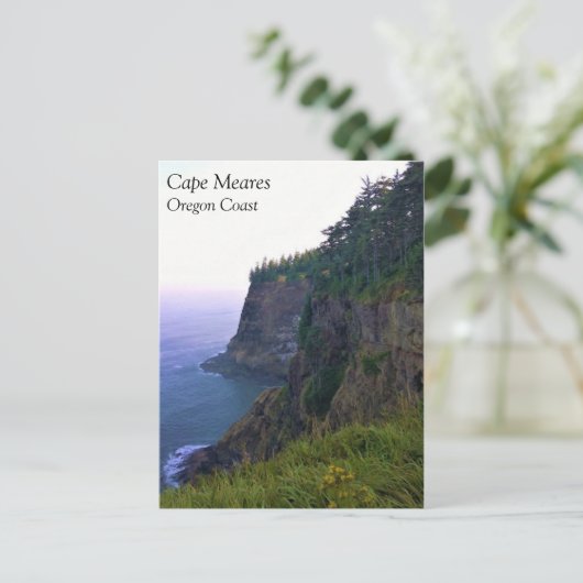 Kaapse kaas, oregonkust briefkaart (Staand voorkant)