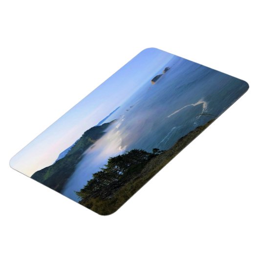 Kaapse kaas, oregonkust magneet (Linkerzijde)