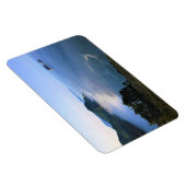 Kaapse kaas, oregonkust magneet (Rechterzijde)