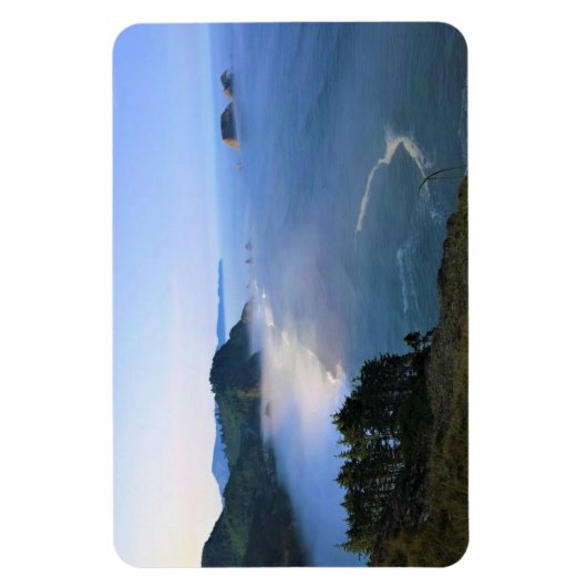 Kaapse kaas, oregonkust magneet (Verticaal)