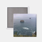 Kaapse kaas, oregonkust magneet (Voorkant / Achterkant)