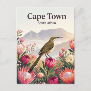 Kaapse Suikervoël, Kaapstad Zuid-Afrika Briefkaart