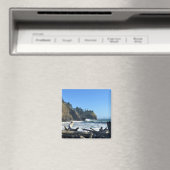 Kaapse vuurtoren, Washington Magneet (Insitu (Vaatwasser))