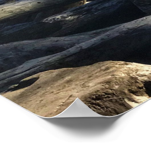 Kaapse vuurtoren, Washington Poster (Hoek)