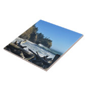 Kaapse vuurtoren, Washington Tegeltje (Zijkant)