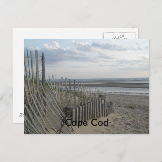 Kaapskabeljauw Briefkaart (Voorkant / Achterkant)