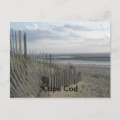 Kaapskabeljauw Briefkaart (Voorkant)