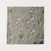 Kaapskabeljauw gespeld in schelpen en krab-zandstr wandkleed (Voorkant (horizontaal))