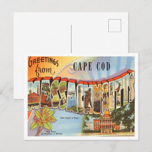 Kaapskabeljauw, Massachusetts Travel Briefkaart (Voorkant / Achterkant)