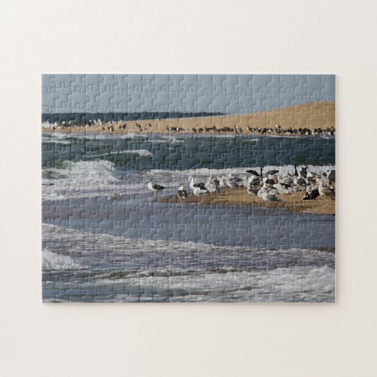 Kaapskabeljauw met landvogels legpuzzel (Horizontaal)