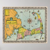 Kaapskabeljauw Poster (Voorkant)