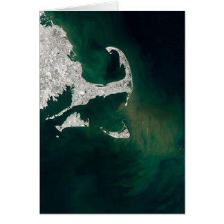 Kaapskabeljauw, wijngaard van Martha en Nantucket