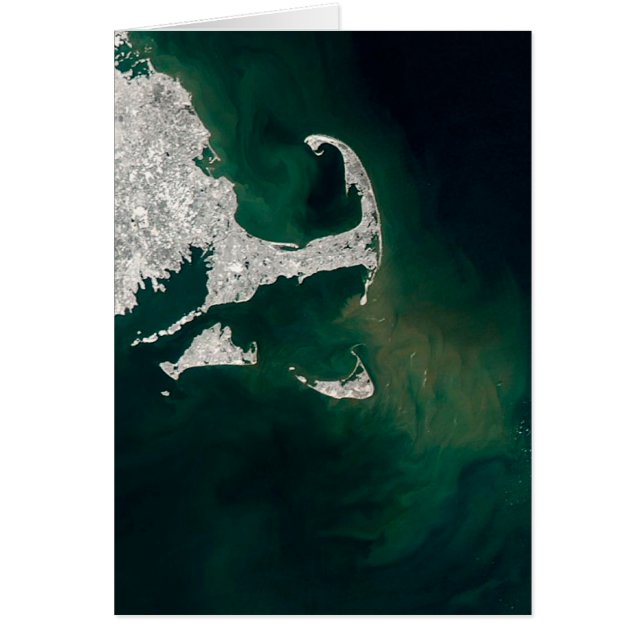 Kaapskabeljauw, wijngaard van Martha en Nantucket (Voorkant)