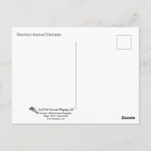 Kaapskuiker Briefkaart (Achterkant)