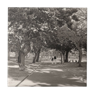 Kaapstad De Waal Park Zuid-Afrika ZA Tegeltje