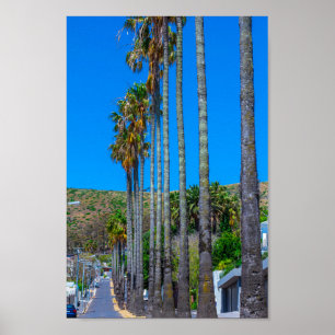 Kaapstad Fresnaye Zuid-Afrika Poster