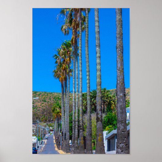 Kaapstad Fresnaye Zuid-Afrika Poster (Voorkant)