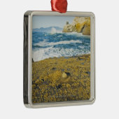 Kaapstad Kiwanda en de Stille Oceaan Metalen Ornament (Rechts)