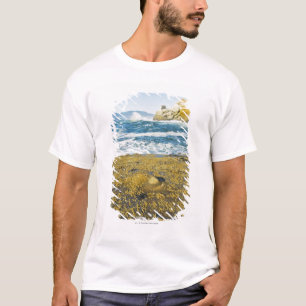 Kaapstad Kiwanda en de Stille Oceaan T-shirt