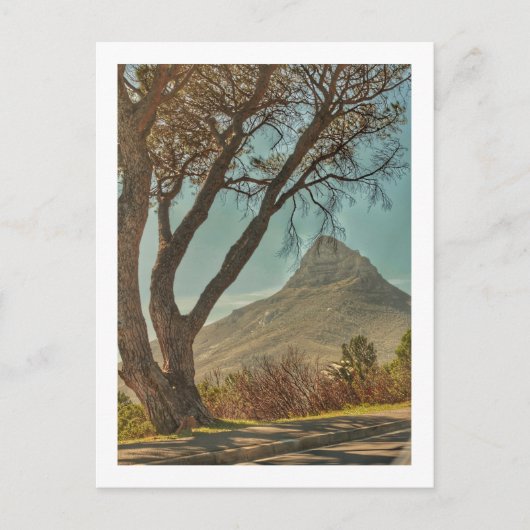 Kaapstad Lion's hoofdlandschap Zuid-Afrika Briefkaart (Voorkant)