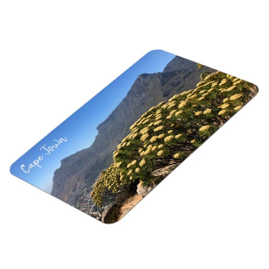 kaapstad magneet (Linkerzijde)