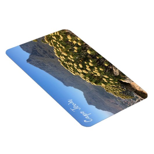 kaapstad magneet (Rechterzijde)