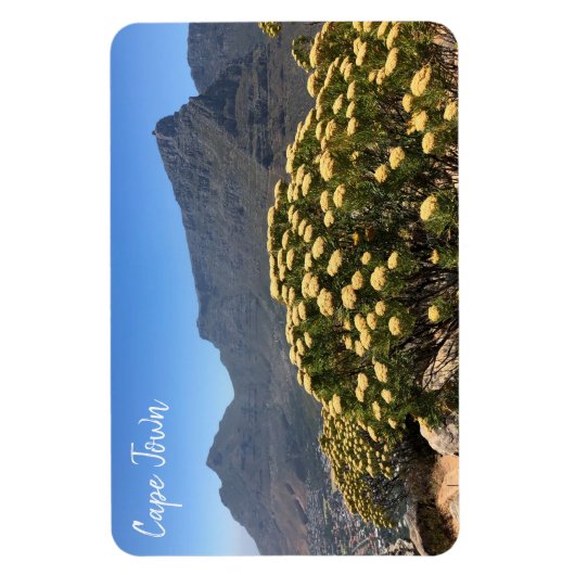 kaapstad magneet (Verticaal)