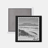 Kaapstad Tafelmoerasmug Magneet (Voorkant / Achterkant)