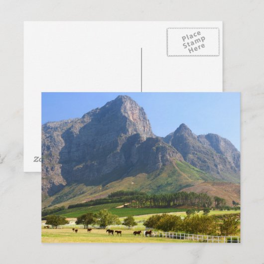 Kaapstad, Western Kaapstad, Zuid-Afrika Briefkaart (Voorkant / Achterkant)