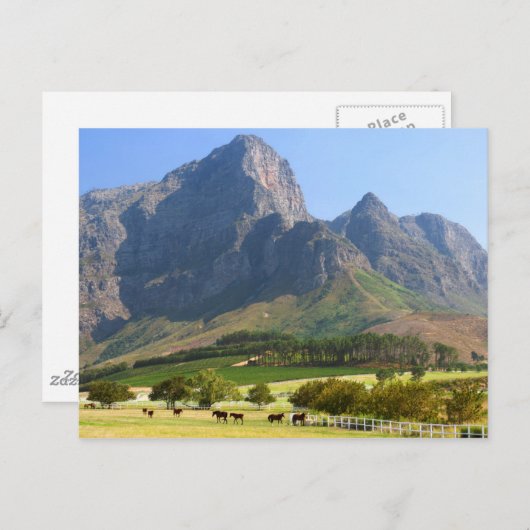 Kaapstad, Western Kaapstad, Zuid-Afrika Briefkaart (Voorkant / Achterkant)