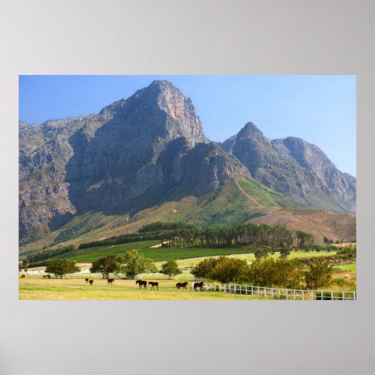 Kaapstad, Western Kaapstad, Zuid-Afrika Poster (Voorkant)