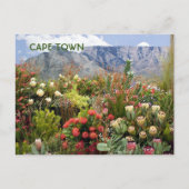 Kaapstad:Zuid-Afrika — bloemdisplay, wildbloemen Briefkaart (Voorkant)